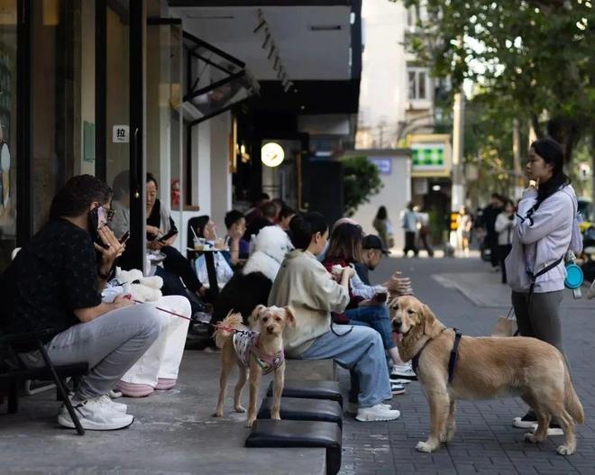 人抛弃了双11爱上了“老年严选”AG真人旗舰厅登录这届脆皮年轻