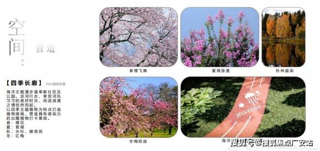 025楼盘评测_售楼处电话丨房价丨详情丨地址丨楼盘百科详情AG真人平台国贸虹桥璟上(国贸虹桥璟上售楼处)首页网站-2(图6)