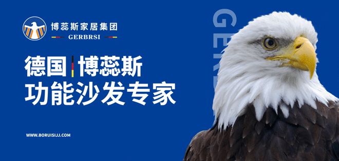 功能沙发专家 大国隐形冠军AG真人试玩平台博蕊斯——(图2)