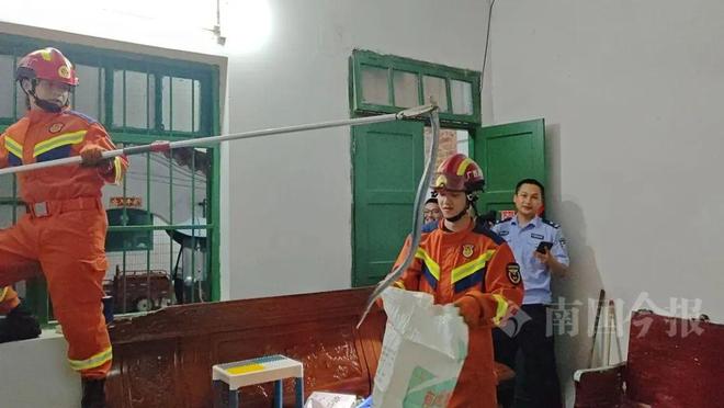 两条“毒霸”入户藏匿之处让人胆寒AG真人百家家乐app深夜柳州(图4)