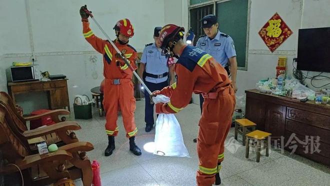两条“毒霸”入户藏匿之处让人胆寒AG真人百家家乐app深夜柳州(图3)